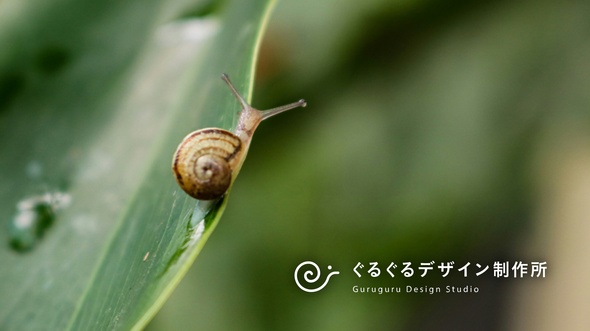 ぐるぐるデザイン制作所